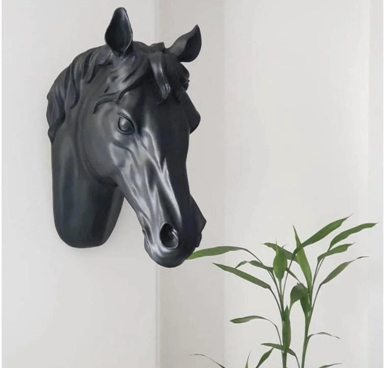 دیوارکوب سر اسب